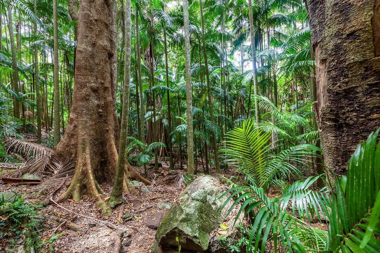 Chambers Wildlife Rainforest Lodges Lake Eacham