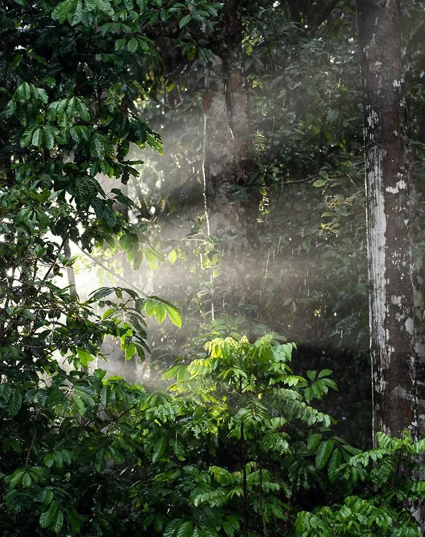 Chambers Wildlife Rainforest Lodges Lake Eacham Austrálie